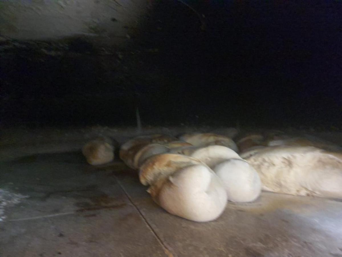 Masseria Sacramento Palagianello Dış mekan fotoğraf
