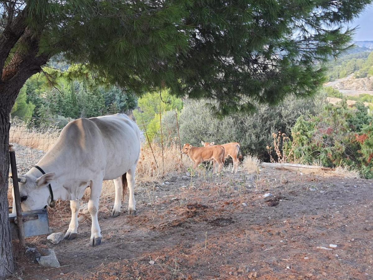 Masseria Sacramento Palagianello Dış mekan fotoğraf